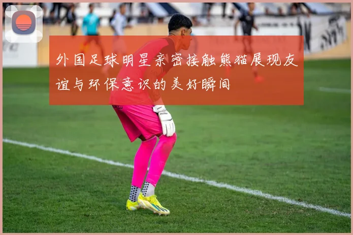 外国足球明星亲密接触熊猫展现友谊与环保意识的美好瞬间