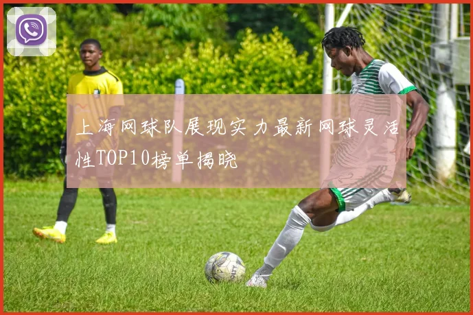 上海网球队展现实力最新网球灵活性TOP10榜单揭晓