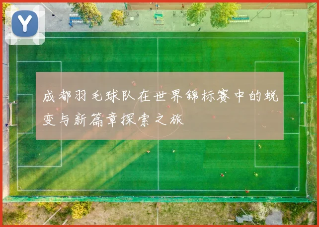 成都羽毛球队在世界锦标赛中的蜕变与新篇章探索之旅