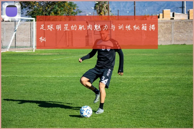 足球明星的肌肉魅力与训练秘籍揭秘