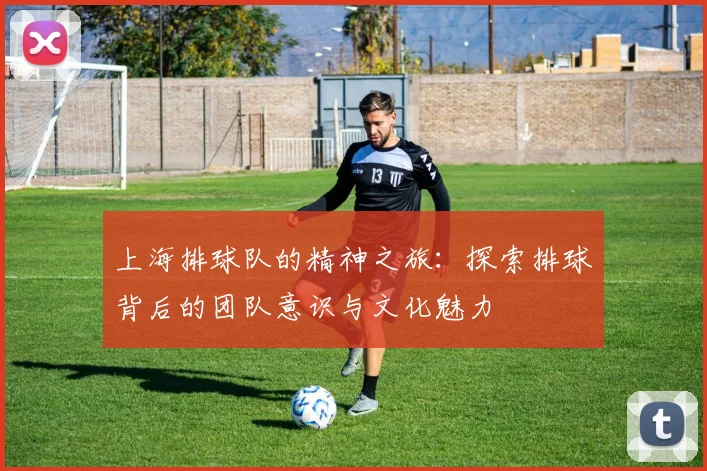 上海排球队的精神之旅：探索排球背后的团队意识与文化魅力