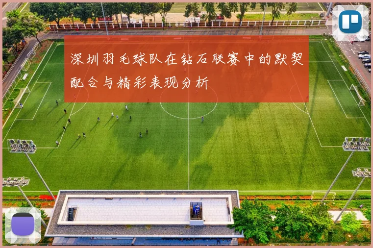 深圳羽毛球队在钻石联赛中的默契配合与精彩表现分析