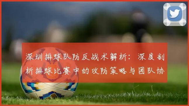 深圳排球队防反战术解析：深度剖析排球比赛中的攻防策略与团队协作